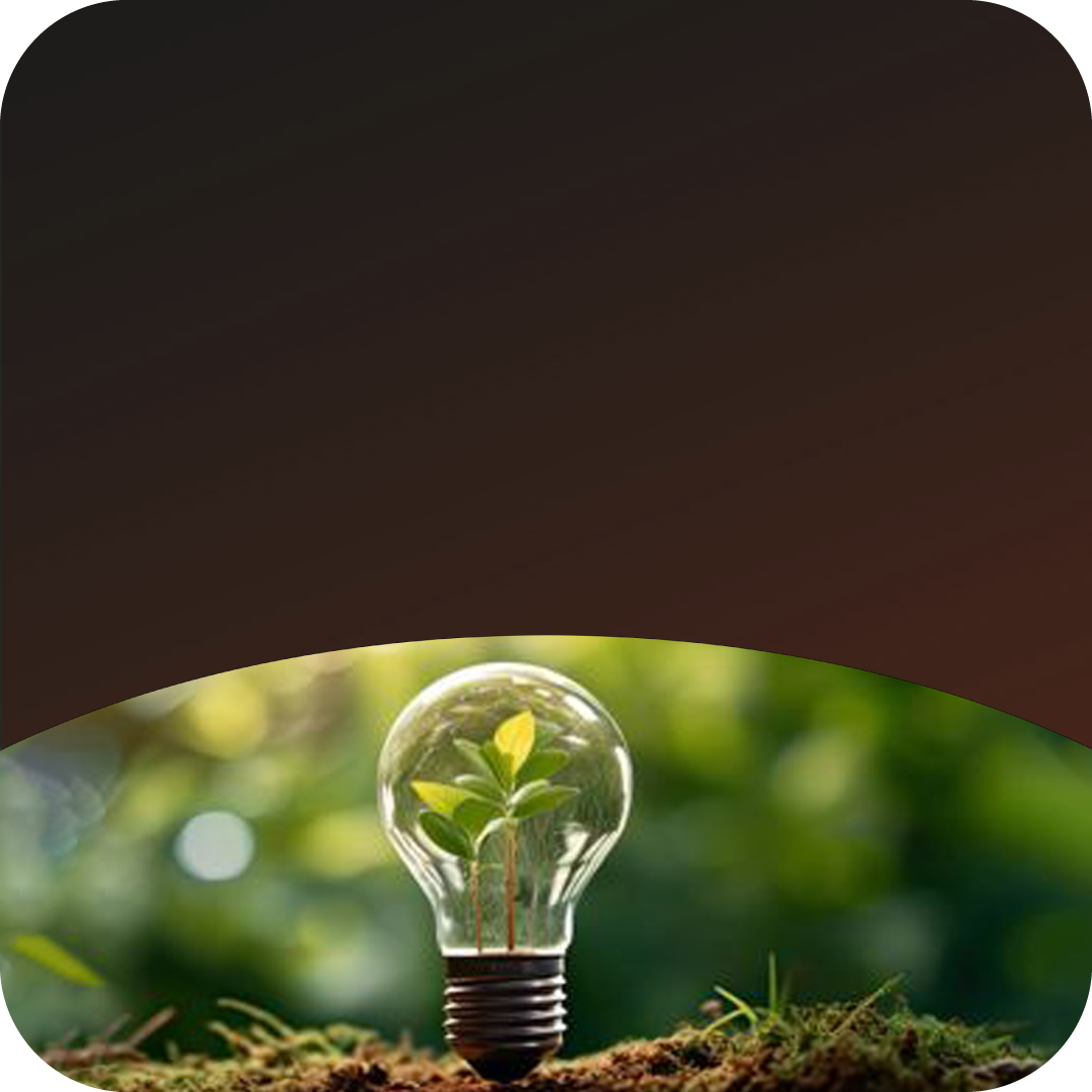 Abstract image of a plant growing inside a light bulb.