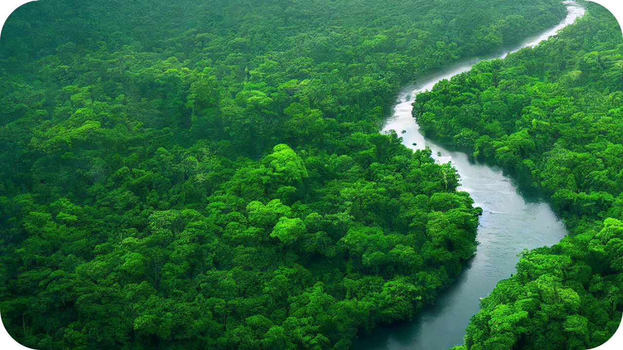 A river winds through a jungle. 