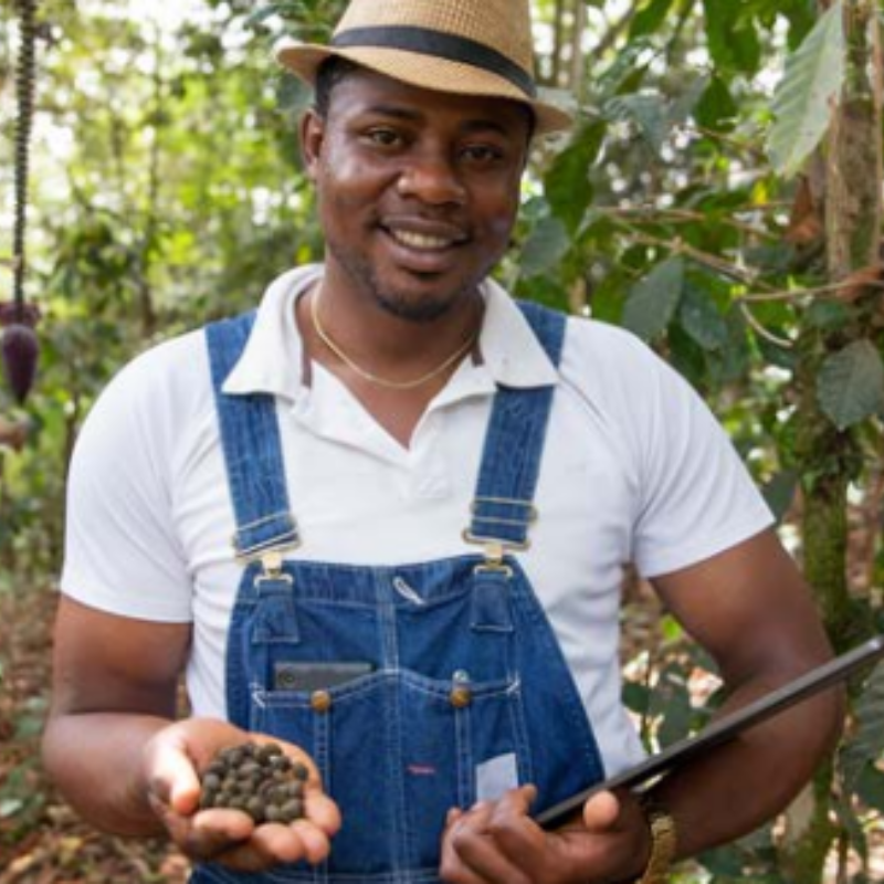 A man in a straw fedora and overalls holds seeds and a tablet in a forest. 